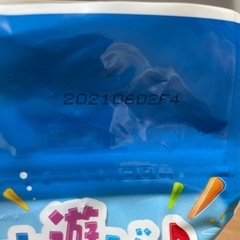 水遊びパンツの画像