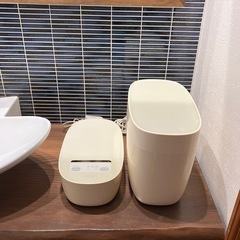 サキナ ピノ saqina PINO(スチーマー＆テスラー/クリーナー)美顔器の画像