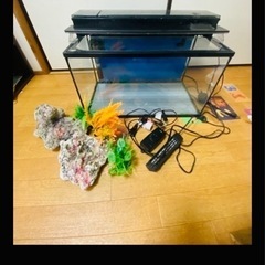 多数お安く出品中、☔️水槽セット☔️