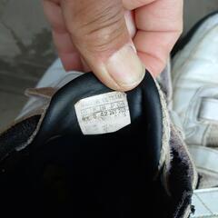 トレーニングシューズの画像