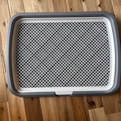 【美品】犬用トイレトレーニング用の画像