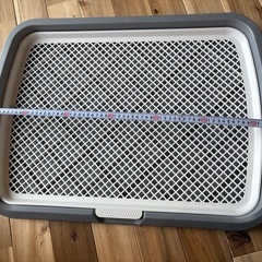 【美品】犬用トイレトレーニング用の画像