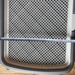 【美品】犬用トイレトレーニング用の画像