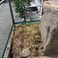 石をお譲りいたしますの画像