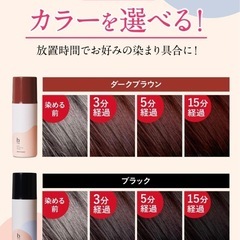 ビーリス カラーリングフォーム(ブラック)の画像