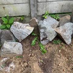 無料 庭石の画像