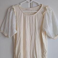 Мサイズ 半袖 カットソー トップス