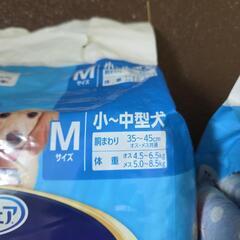 ペット パンパース 紙おむつ シニア 老犬の画像