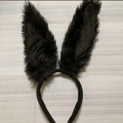 コスプレ　バニー
の画像