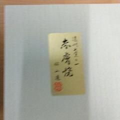 0610-133 赤虜焼カップ＆ソーサー大塩昭山の画像