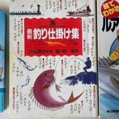 釣り 釣り全般 オールインワン 釣り入門 はじめての人の釣り 仕掛け 堤防釣り入門 ルアー・フィッシング 6冊セット 初心者～中級者 中古品の画像