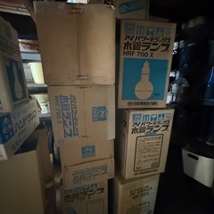 水銀ランプ、ナトリウムランプの画像
