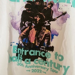 MR.CHILDREN 30th Anniversary Tour Tシャツ Sの画像