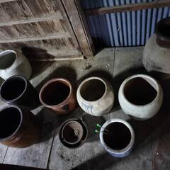 壺　つぼの画像