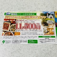 城島高原ホテル 特選宿泊プラン チケット★入園ご招待券