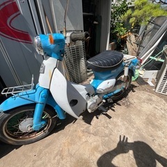 リトルカブセル付き