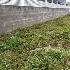 【法人様～個人様まで】広範囲の草刈りからお庭の草むしりまで 除草作業はお任せください！ - 地元のお店