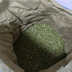 【引渡し限定】自然栽培■くず大豆25ｋｇ■乾燥大豆■青豆白豆茶豆...
