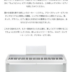 KORG B1 WH デジタル・ピアノ イス、純正スタンドセット　カバー付きの画像