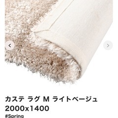 Francfranc カステ ラグ Mの画像