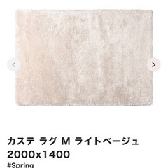 Francfranc カステ ラグ M