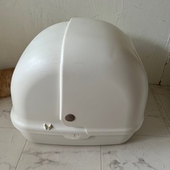 猫トイレの画像