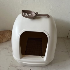 猫トイレ