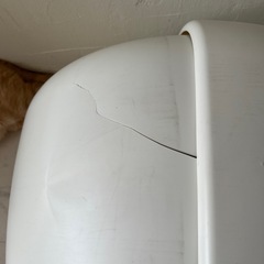 猫トイレの画像