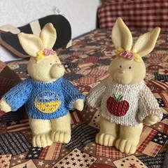 うさぎさん達の画像