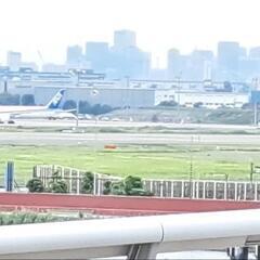 LINEメル友通話友達募集中