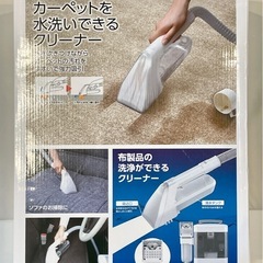 ˗ˏˋ 美品ˎˊ˗ アイリスオーヤマ　リンサークリーナー　RNS...