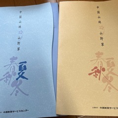 山野草の写真
の画像