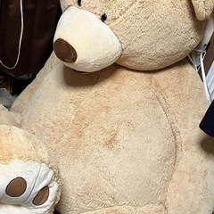 コストコ クマの超巨大🧸ぬいぐるみ定価39,800円