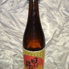 焼酎