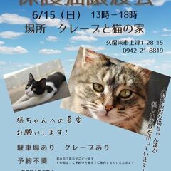 保護猫譲渡会6/15(日)