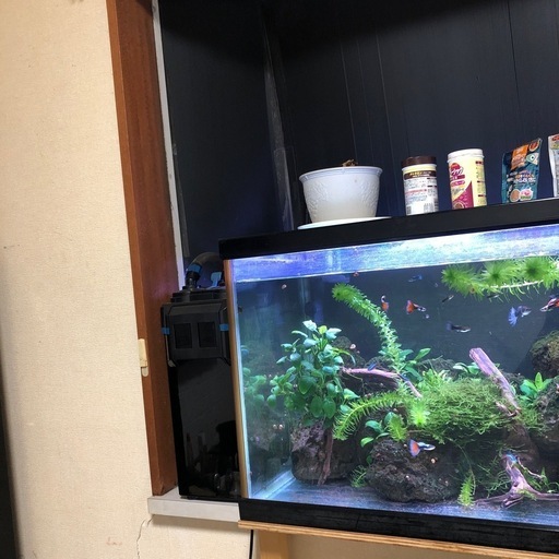 熱帯魚、水槽、備品