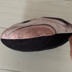 犬　クッションの画像