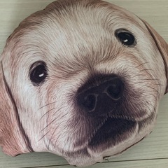 犬　クッション