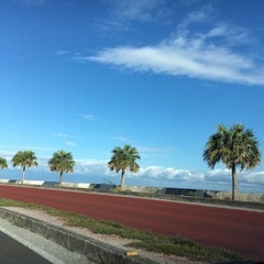 ⭐︎趣味友募集⭐︎