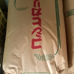 平成6年度産　コシヒカリ玄米