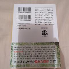 文庫本「木漏れ日に泳ぐ魚」の画像