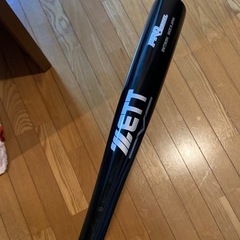 大阪北摂・猪名川河川敷エリアで草野球チームを探しています🦅