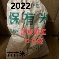 【宮城県産　つや姫】11Kg 玄米
