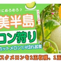 ✨ボランティアさん募集✨