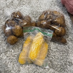 ２種のジャガイモ&とうもろこしセット