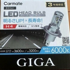 カーメイト GIGA LEDヘッドライトC3600 6000K ...