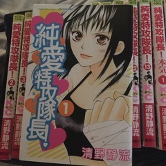 純愛特攻隊長全巻‼️の画像