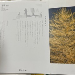 絵の画像