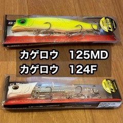 カゲロウ