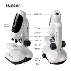 顕微鏡の画像